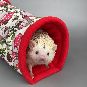 May include: A white and cream hedgehog with black eyes peeks out of a red and white fabric tunnel with a mushroom and leaf pattern.
