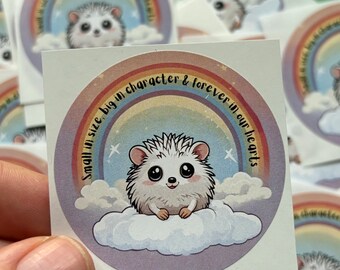 May include: A sticker with a rainbow and a cute cartoon hedgehog on a cloud. The text reads "Small in size, big in character & forever in our hearts".