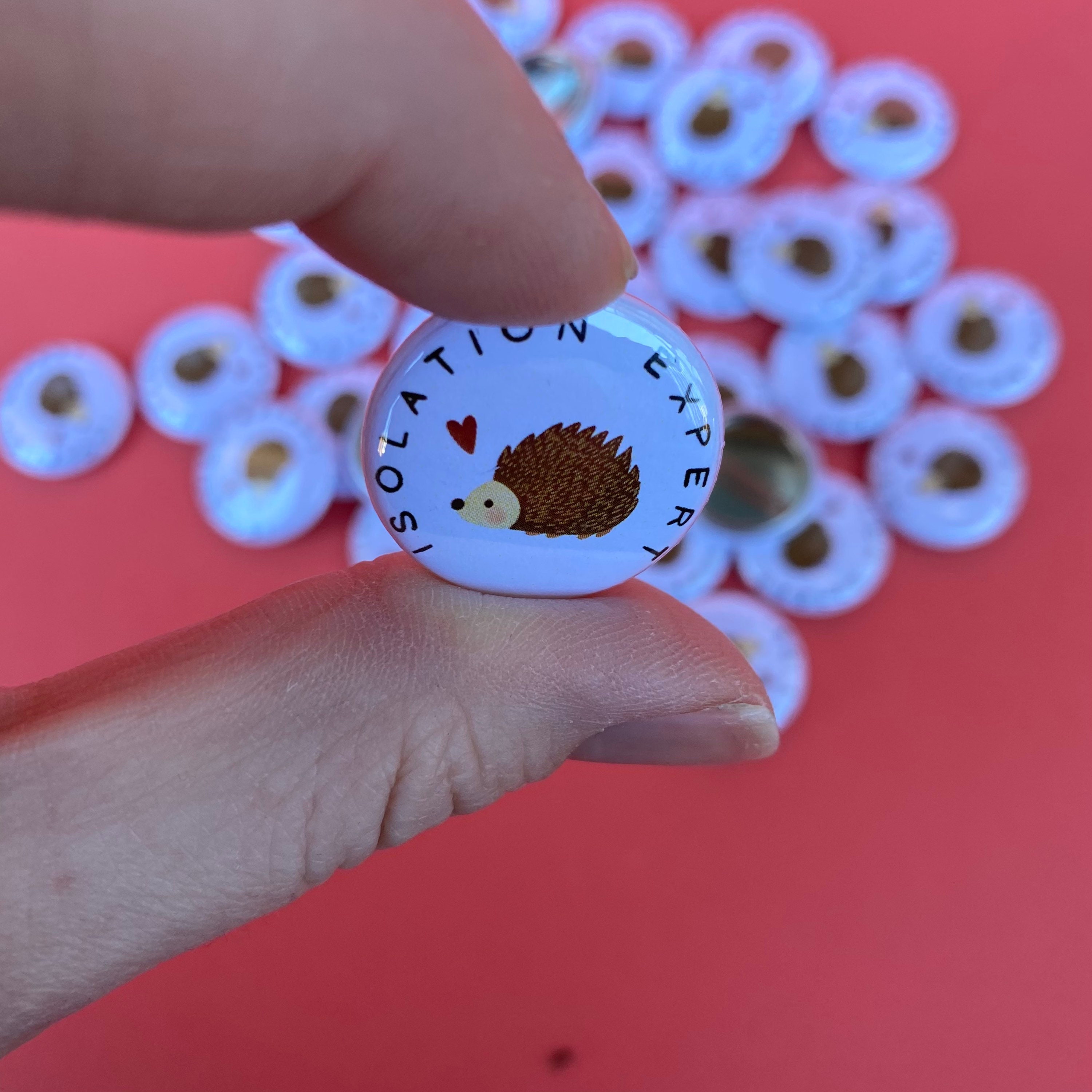 隔離エキスパートのハリネズミバッジ。25mmのバッジ。ハリネズミの