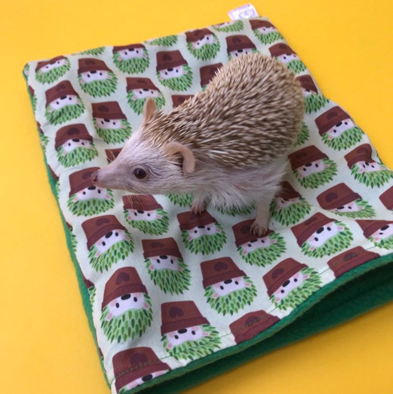 Cosy cube house Cactus hedgehog cage set Fleece bedding tunnel snuggle sack and toys