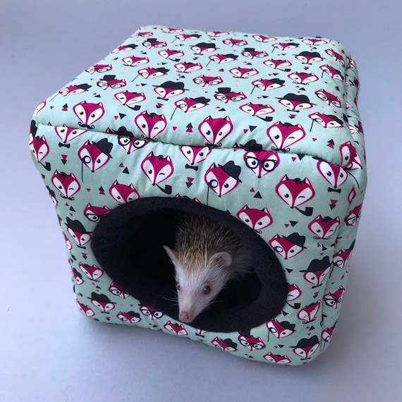 guinea pig cube