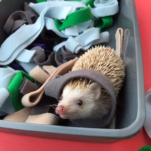 May include: A small, white hedgehog with brown eyes is nestled in a grey fabric pouch. The pouch is surrounded by blue, green and grey fabric scraps.