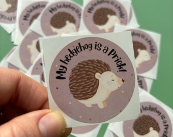 May include: A stack of round stickers with a pink background and a cartoon hedgehog with the text "My hedgehog is a prick!" printed on them.