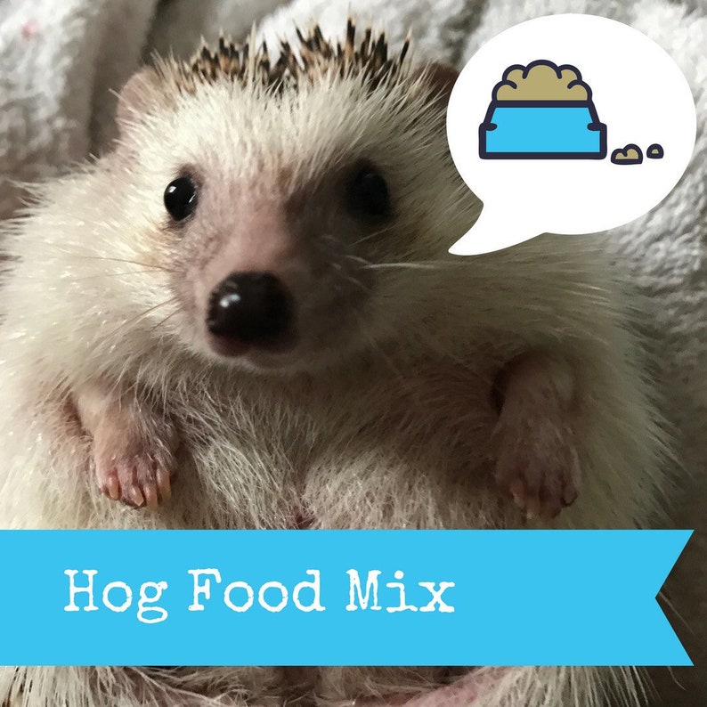 1kg 2.20 Lb African Pygmy Hedgehog Food Mix. Hedgehog Etsy UK