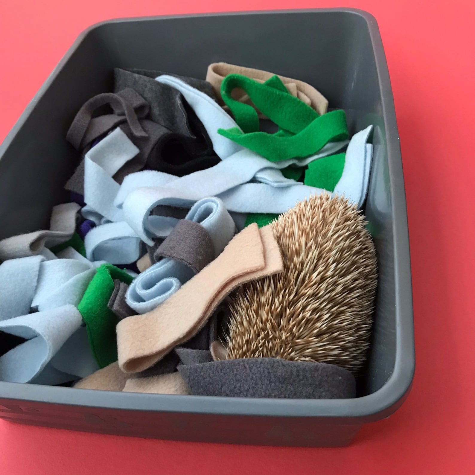 Fleece Forage Strips for Bedding Fleece Strips for Nesting Etsy UK