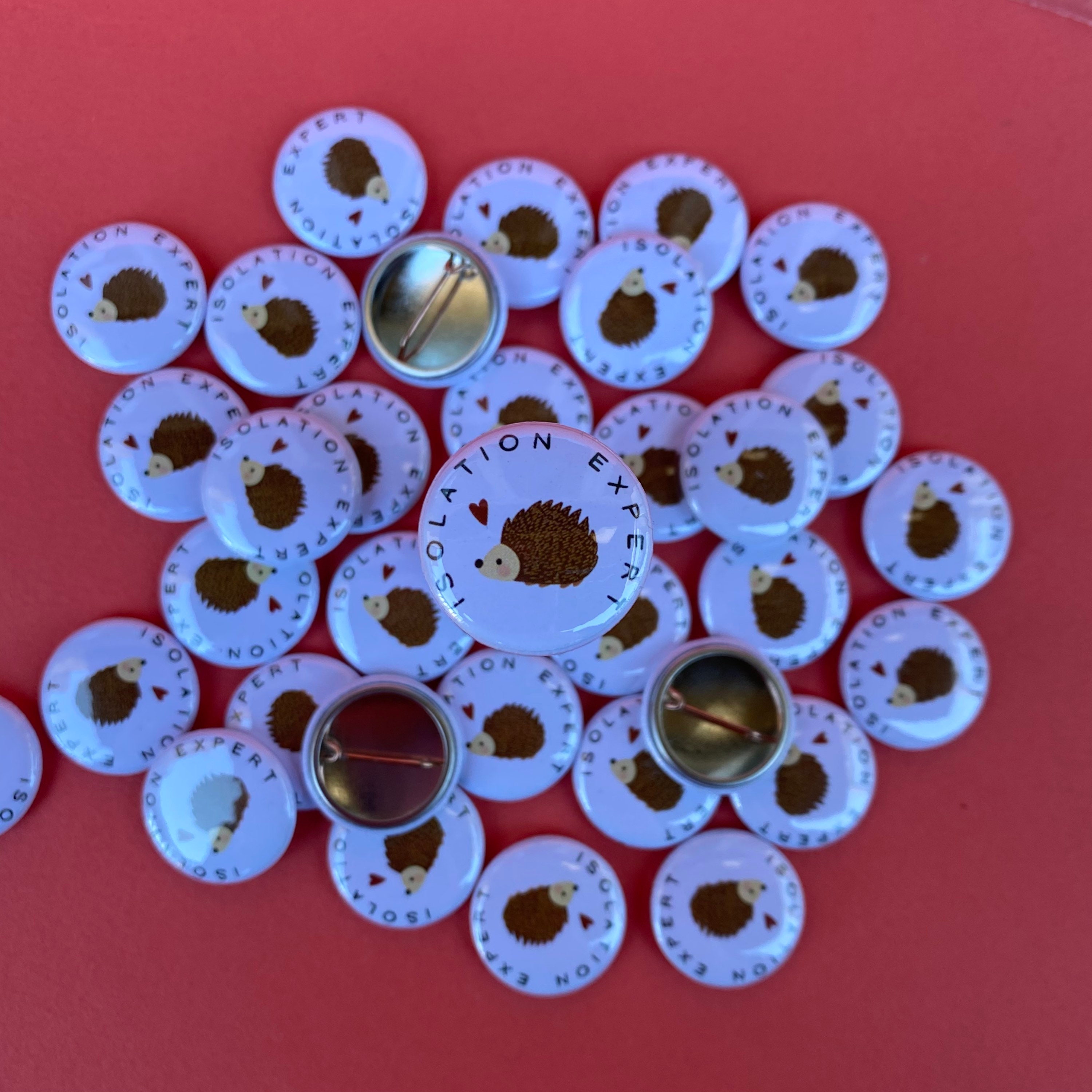 隔離エキスパートのハリネズミバッジ。25mmのバッジ。ハリネズミの