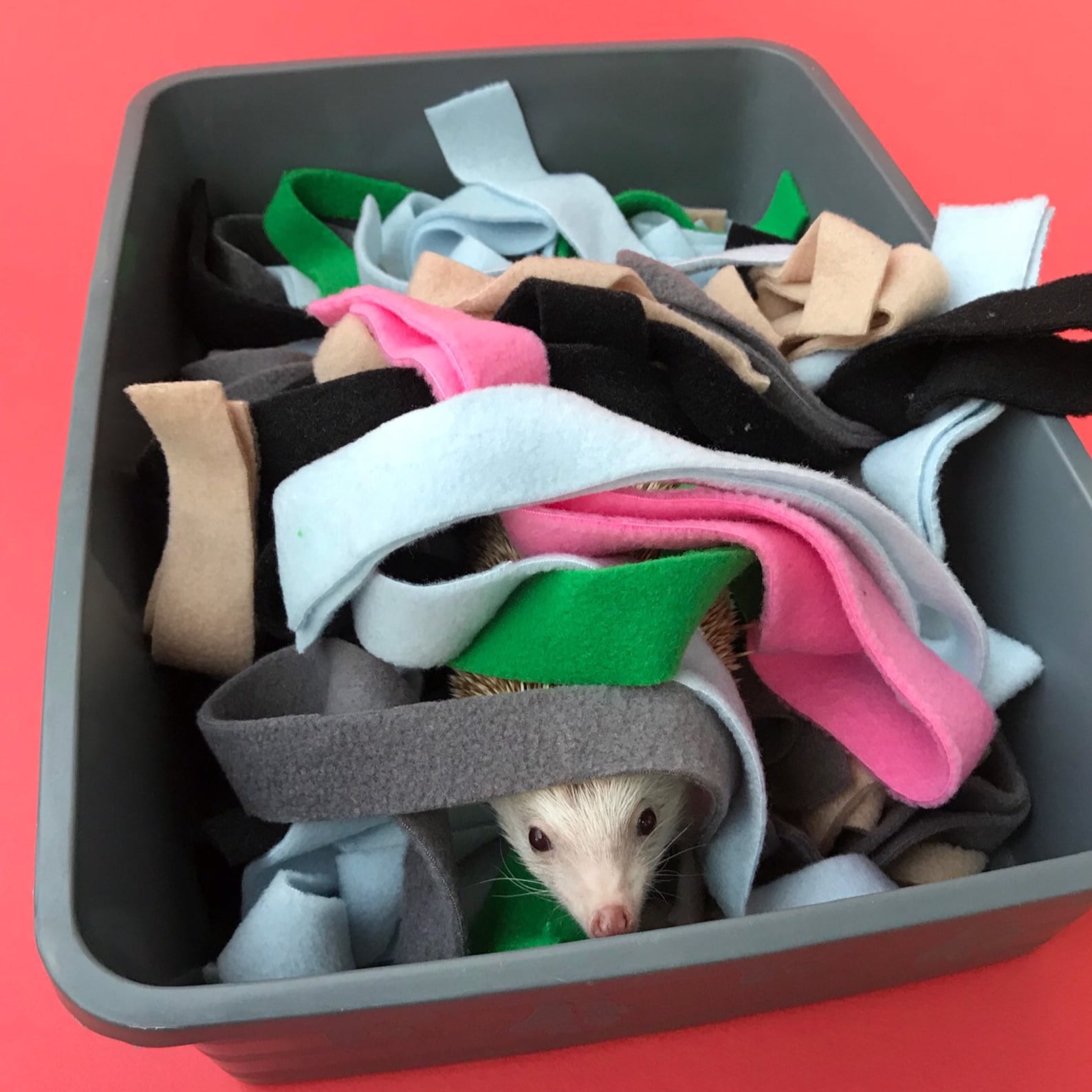 Fleece Forage Strips for Bedding Fleece Strips for Nesting Etsy UK