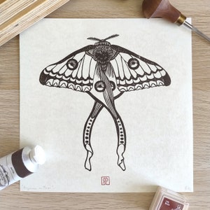 Linocut | luna moth | insect print | lino print