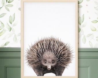 Echidna Print,  Printable Echidna, Australian Animal Print, Australian Animal Wall Art, Nursery Animals, Nursery Printable, Nursery Wall Art