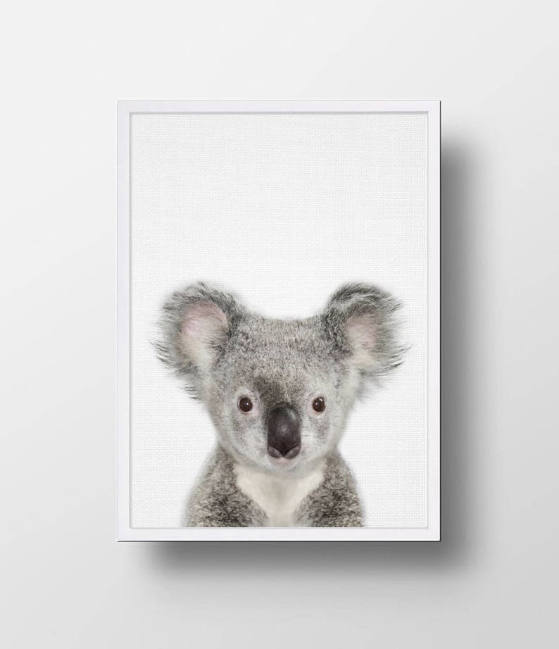 Australian Animal Print Nursery Animal Print Nursery Etsy