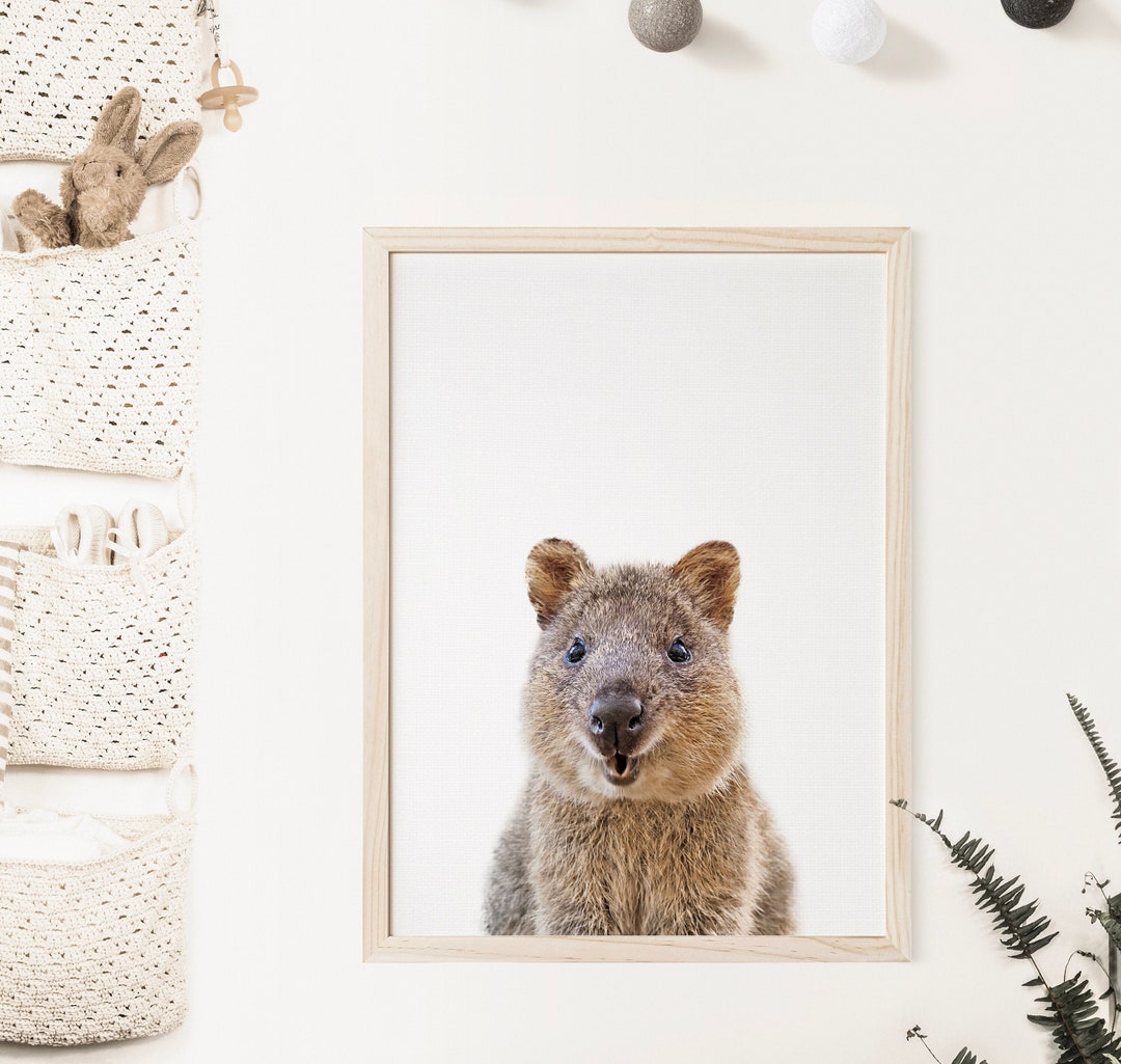 Quokka Print, Australian Animal Print, Australian Animal Wall Art