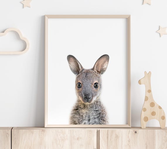 Baby Wallaby Print, Photo, Australian Animal Wall Art, Baby