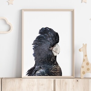 Australian Black Cockatoo Print,Photo, Nursery Animals, Cockatoo Wall Art, Digital Download, Kids Room Art, Cockatoo Poster, Nursery Decor