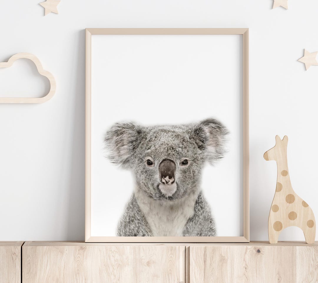 Koala Wall Art Print, Photo Australian Koala, Animal Print, Nursery ...
