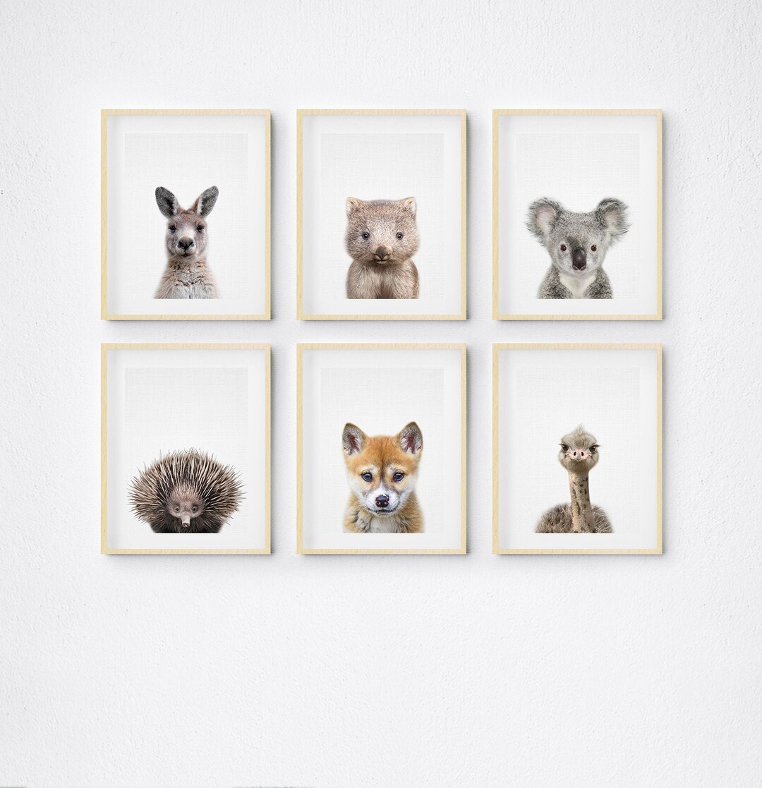 Australian Animal Print Nursery Printable Wall Art Baby - Etsy Australia