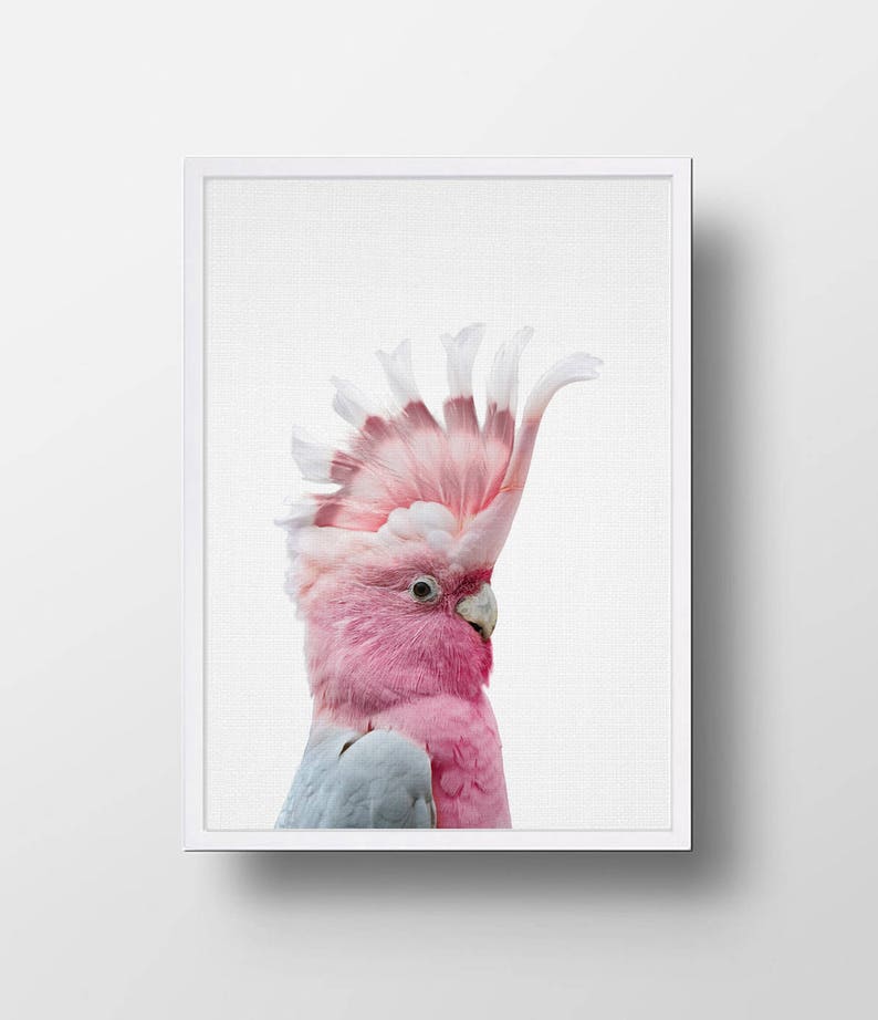 Australian Animal Print Nursery Animal Print Nursery Etsy