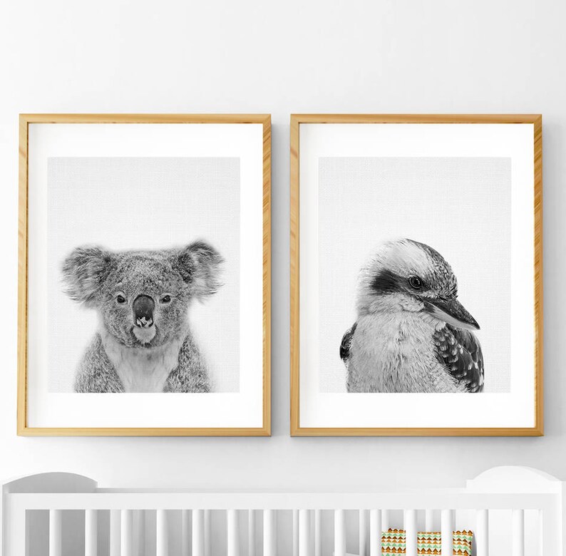 Koala Print Koala Bear Print Nursery Animal Print Nursery Etsy