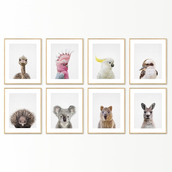 Australian Animal Print, Nursery animal wall art, Emu Baby Koala, Quokka, Echidna, Kangaroo, Kookaburra, Australian Cockatoo, Major Mitchell