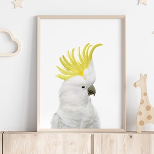 Australischer Kakadu Druck, Foto Kakadu Australier, Australische Vogel Wandkunst, Digitaler Download, Kinderzimmer Druckbar, Kakadu Poster