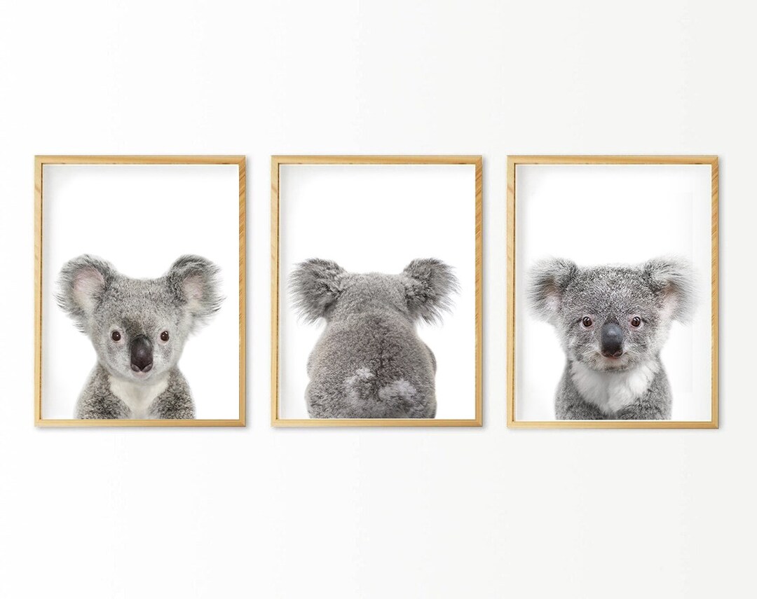 Baby Koala Tail Print, Koala Bear Wall Art, Nursery Animal Print, Kids