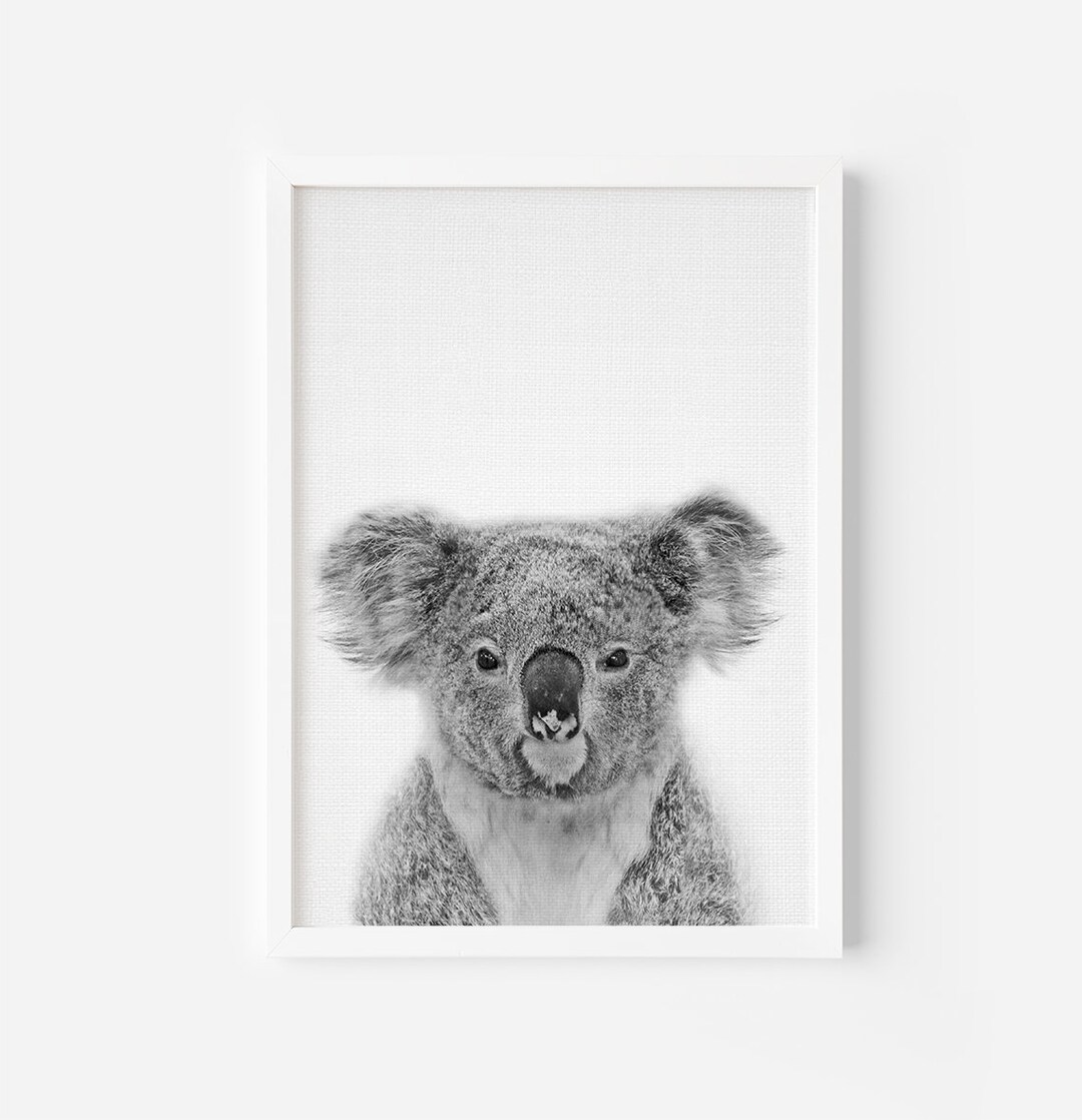 Koala Print, Koala Bear Print, Nursery Animal Print, Nursery Animals
