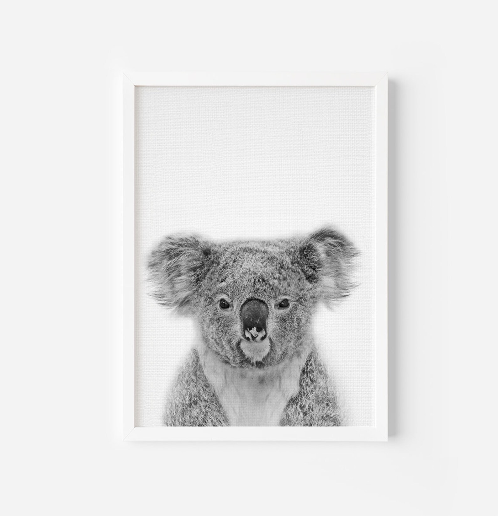 Koala Print Koala Bear Print Nursery Animal Print Nursery Etsy
