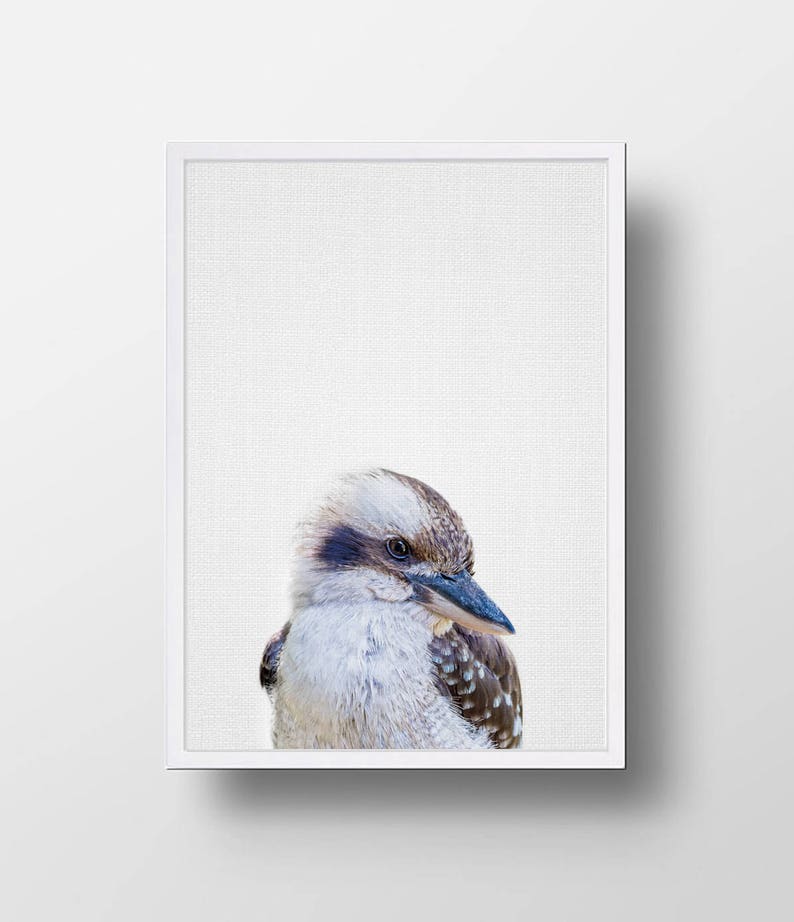 Australian Animal Print Nursery Animal Print Nursery Etsy