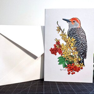 Redbellied Woodpecker notecard