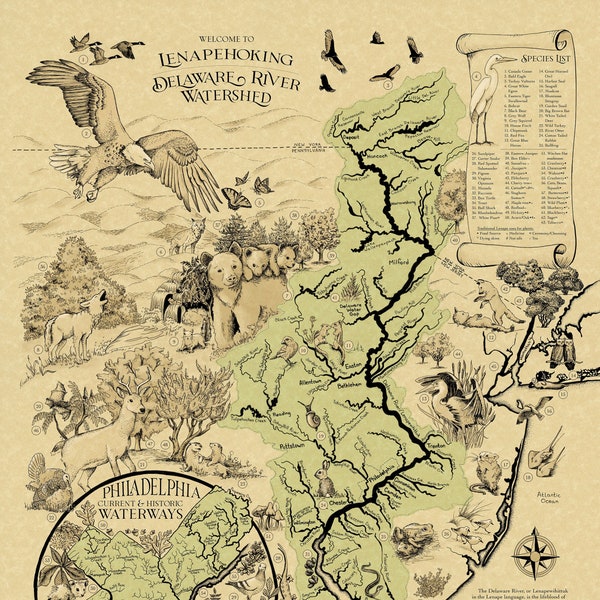 Delaware Etsy - Il 600x600.3789086628 Dx2y 