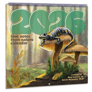 May include: A 2026 calendar with a nature theme. The cover features a salamander on a mushroom, with the text "love notes from nature calendar." The calendar is spiral-bound with a forest background.