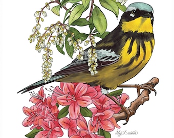 Magnolia Warbler bird with flowers painting, 8"x10" art print