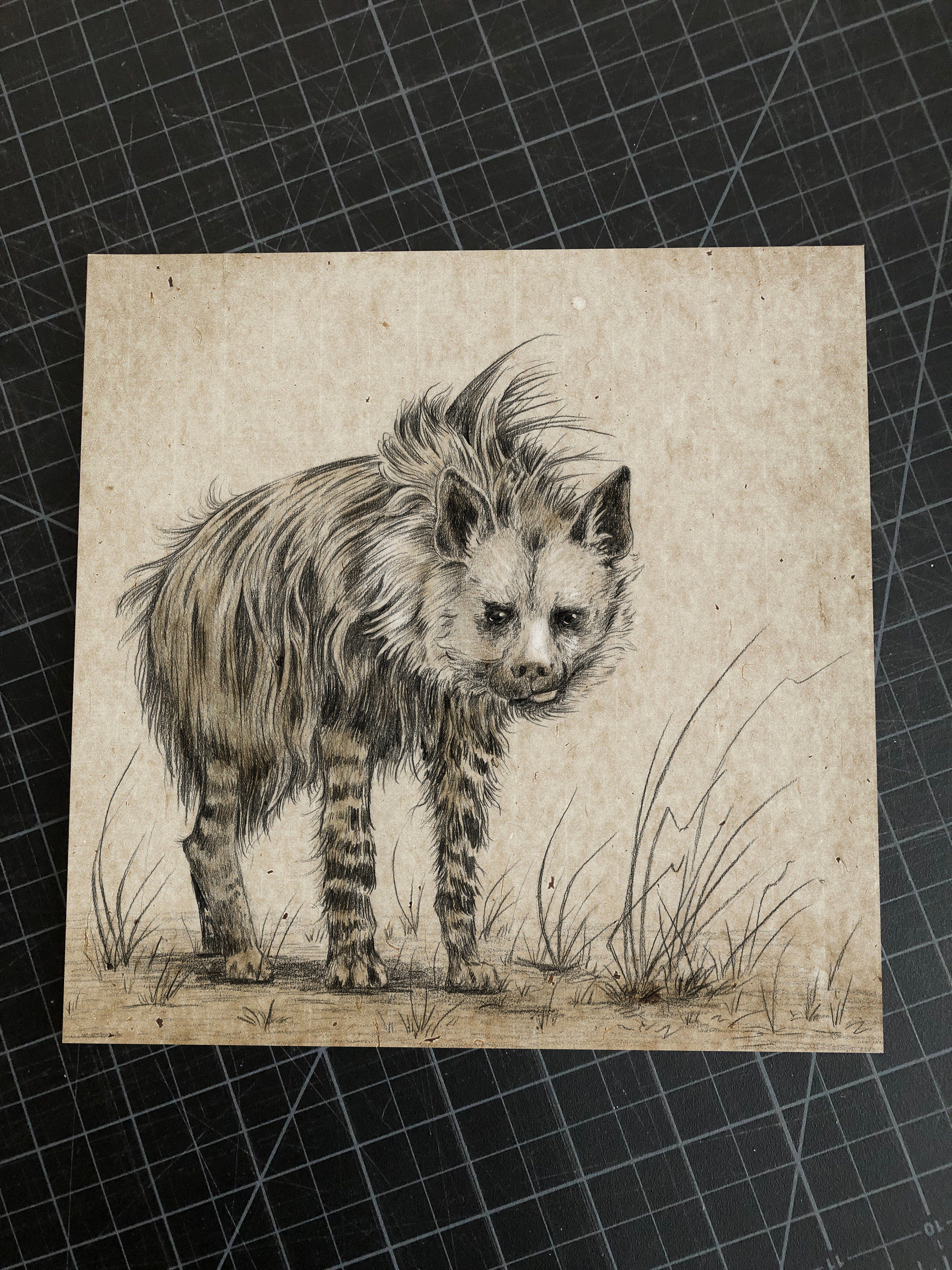 Pretty Hyena 8