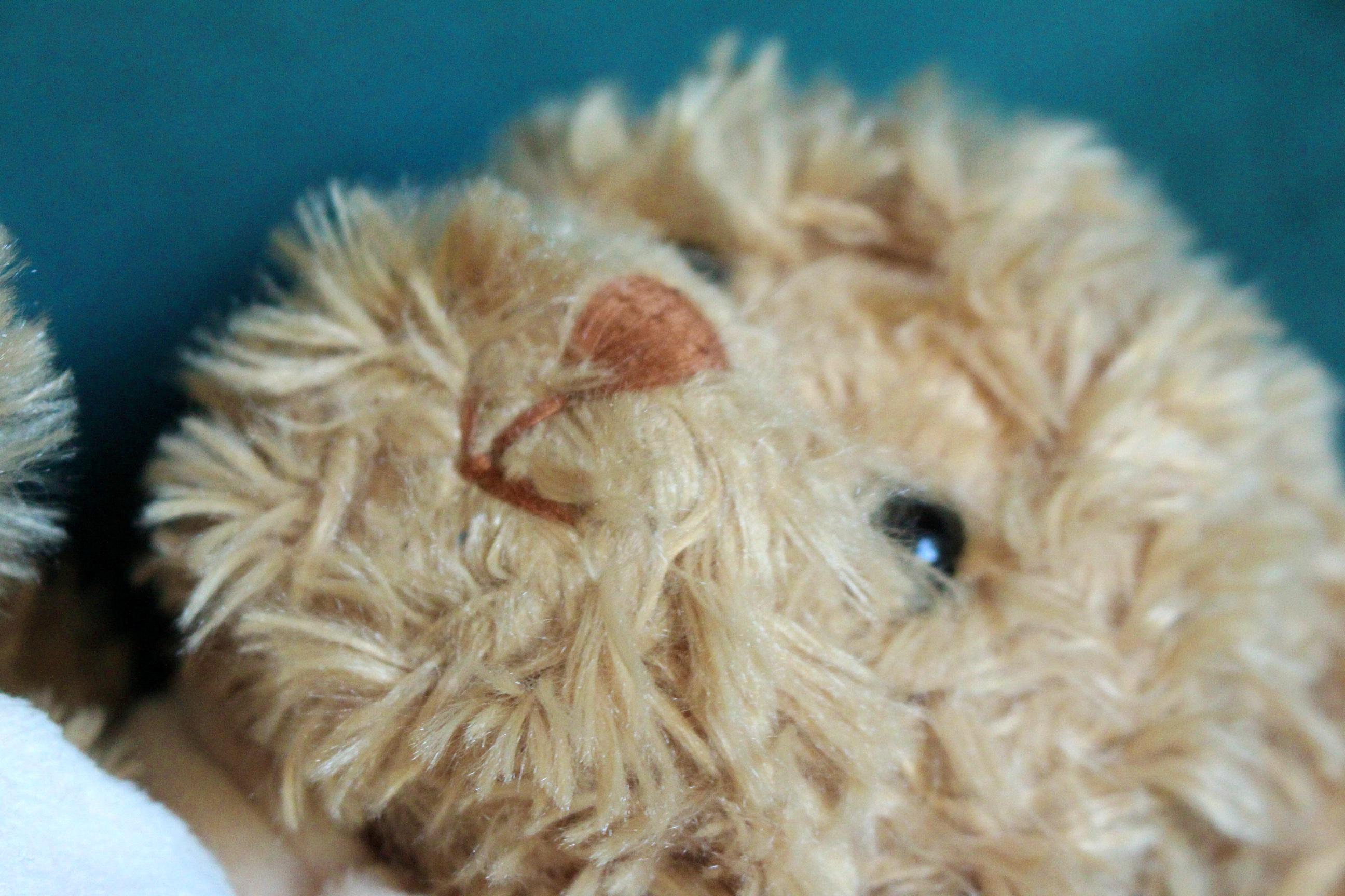 ヴィンテージ ブコウスキー ぬいぐるみテディベア：スウェーデン