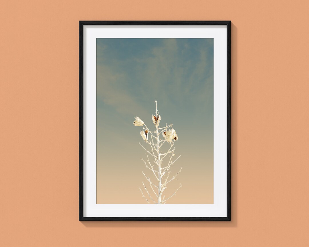 White Sands New Mexico Wall Art Wall Decor Cactus Print Etsy