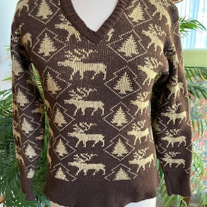 May include: A brown sweater with a beige pattern of stylized trees and moose. The sweater has a v-neck and long sleeves.