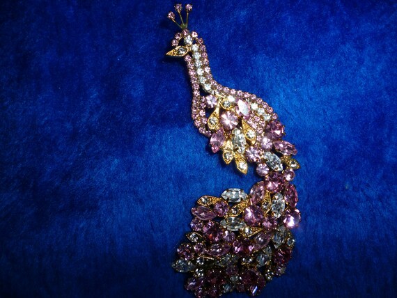 Peacock pin