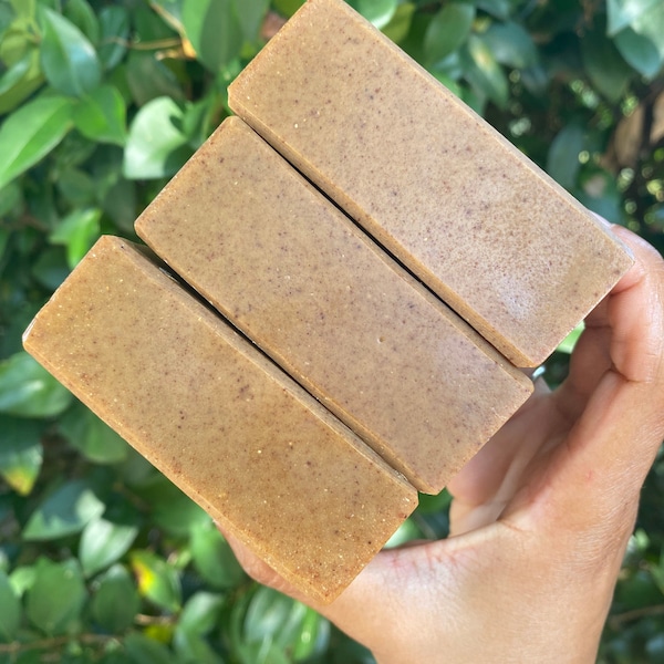 Turmeric & Aloe complexion soap (fragrance free)