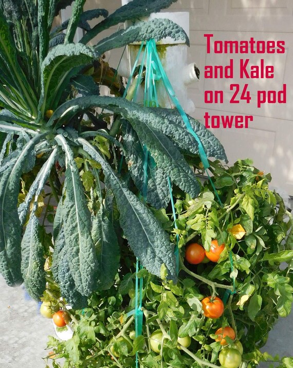 Hydroponic Fun Tough Guy 24 Pod Grow Tower Etsy