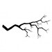 Lavinia Tree Branch Stamp - Tree Branch Cling Stamp - Silhouette Stamp - Tree Silhouette - Branch Silhouette Cling Stamp - 12-343