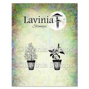 Lavinia Dill & Sage Pots Stamp - Dill and Sage Pots Set Clear Cling Stamps - Lavinia Clear Cling Stamp - Clear Cling Stamp - 12-866