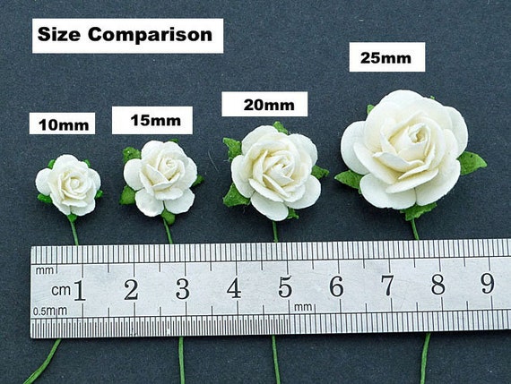 15mm 5 Open Roses pk Paper Flowers Flower Etsy