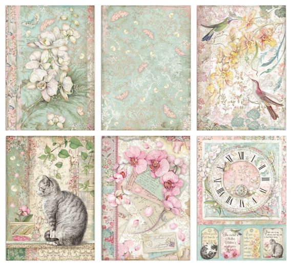 Orchids and Cats Set 10 papeles scrapbooking - Stamperia