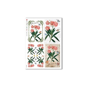 Paper Designs Rice Paper - Flowers - Flower Rice Paper - Decoupage Rice Paper - A4 Rice Paper - Nature Rice Paper - 34-061