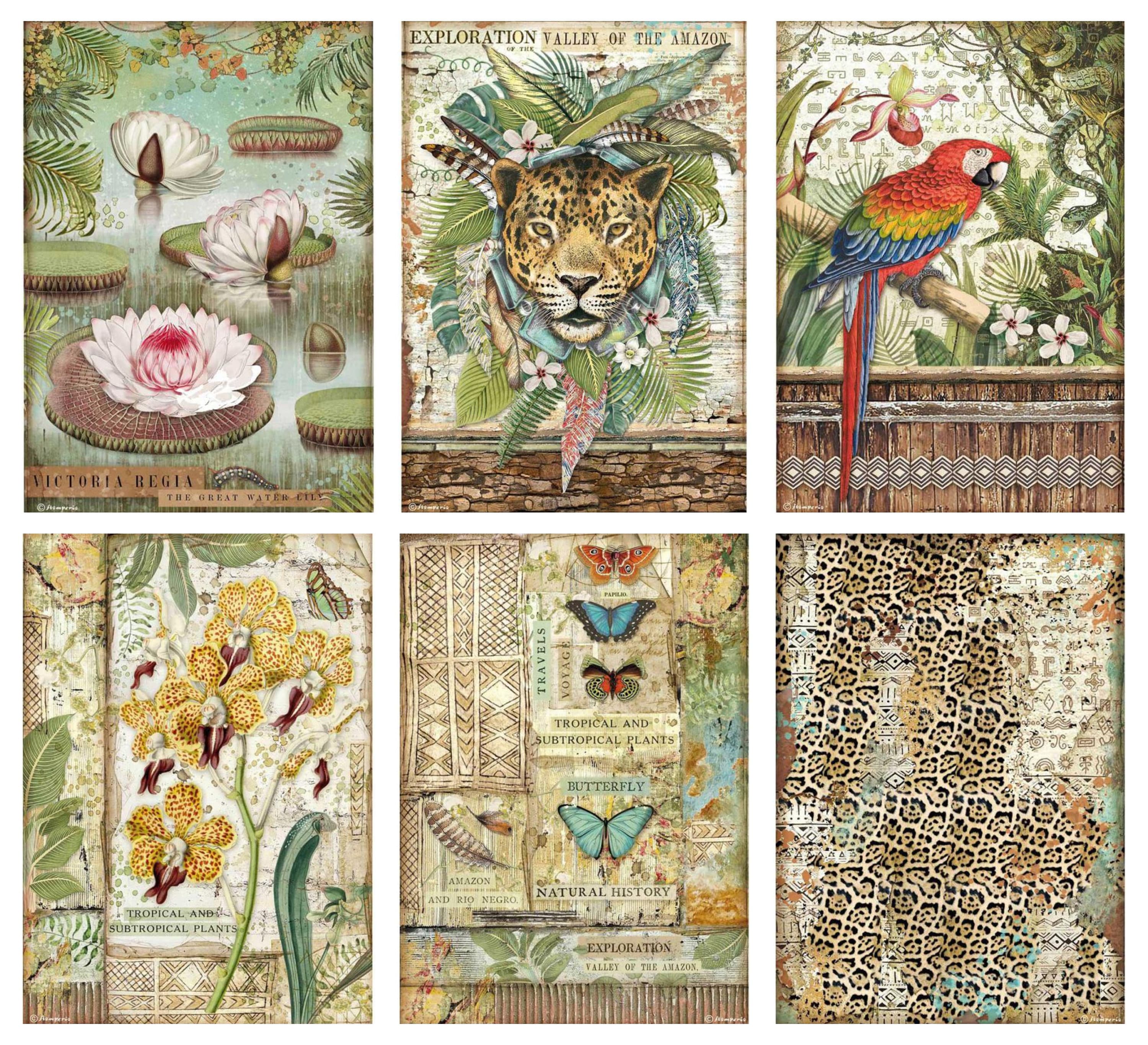 Amazonia A4 Rice Paper Stamperia Rice Paper Jungle Rice Etsy