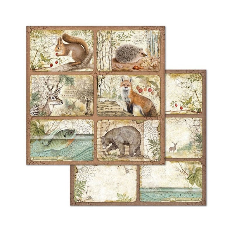 Stamperia 12x12 Forest Paper Pack Double Sided Paper 12x12 image 8