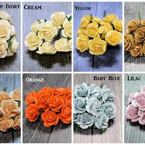 Promlee Flowers 10mm #4 Open Roses 20pk - Color Set 4 - Paper Flowers - Flower Embellishments - Mulberry Paper Flowers - Handmade Flowers