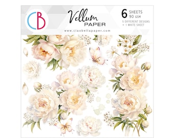 Ciao Bella 6x6 Always & Forever Vellum Paper - Ciao Bella Paper - 6x6 Vellum - Translucent Paper - Always and Forever Collection - 28-616