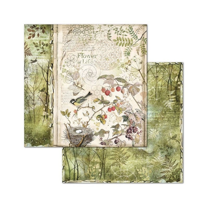 Stamperia 12x12 Forest Paper Pack  Double Sided Paper  12x12 image 5