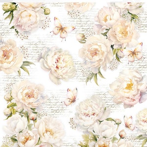 Ciao Bella A4 Always & Forever Vellum Paper - Ciao Bella Paper - A4 Vellum - Translucent Paper - Always and Forever Collection - 28-615
