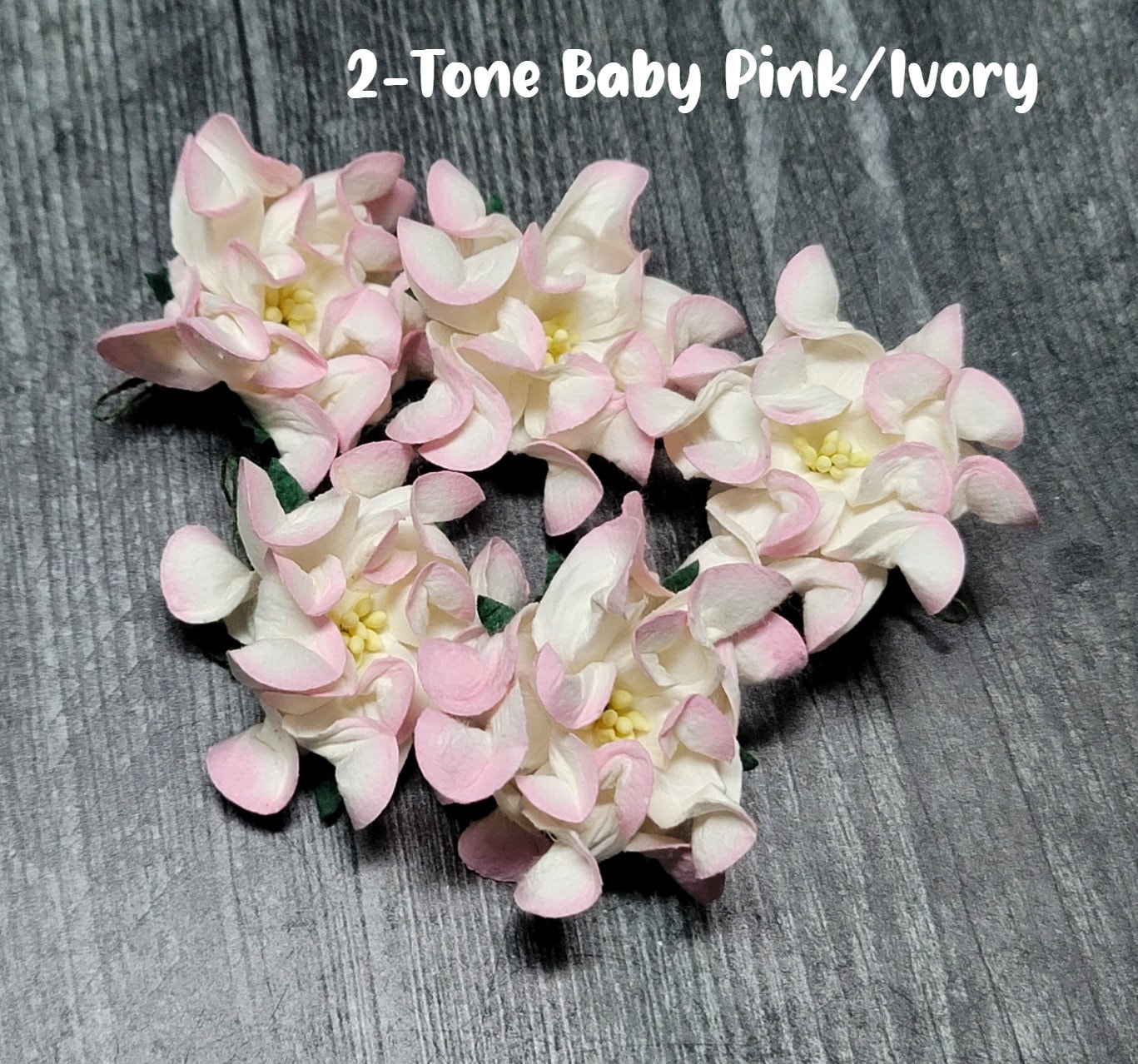 Promlee Flowers 60mm Large Gardenia Flowers 5pk - Paper Flowers